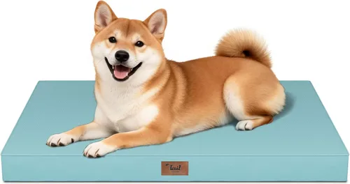 Vista 123 de Cama para perros y gatos pequeños, impermeable, para jaula de huevos, espuma ortopédica con funda Oxford lavable y extraíble, color verde Amy