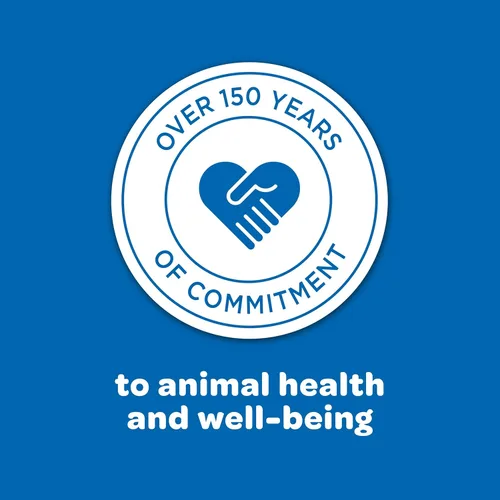 Vista 9 de Kaytee Maíz en la Mazorca, 6.5 lb