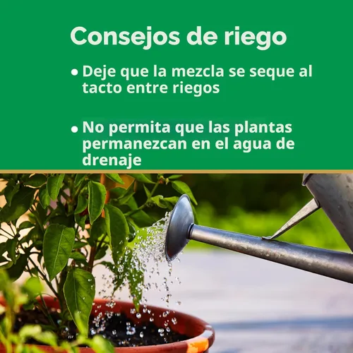 Vista 9 de Miracle-Gro Mezcla para macetas con control de humedad, para plantas en contenedor, protege contra el riego excesivo y insuficiente, 8 cuartos
