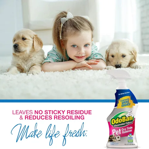 Vista 9 de OdoBan Pet Solutions Oxy - Removedor de manchas, fabricado en los Estados Unidos, paquete de 2, aerosoles de 32 onzas cada uno, y concentrado