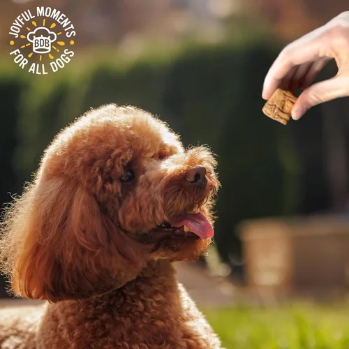 Vista 11 de Blue Dog Bakery More Crunch - Pequeños sabores surtidos, galletas para perros, golosinas saludables, todo natural, tocino, pollo, queso, mantequilla