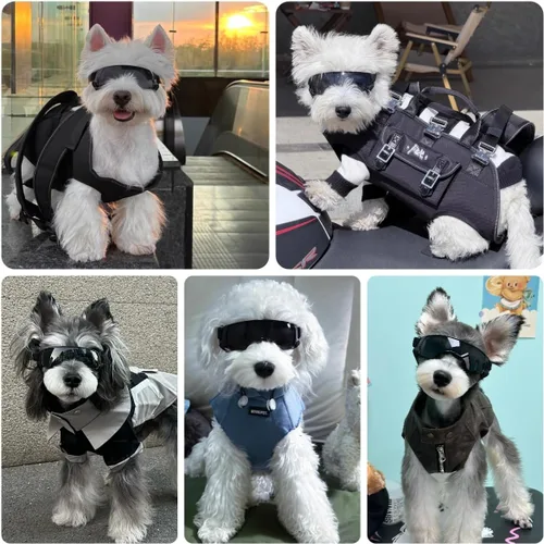 Vista 2 de Gafas de sol para perros pequeños con correas ajustables, lentes de sol anti-UV para perros, resistentes al viento, protección ocular para razas