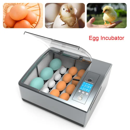 Vista 6 de Incubadora de 16 huevos de gallina, mini incubadora automática de temperatura, incubadora totalmente digital con control automático de temperatura