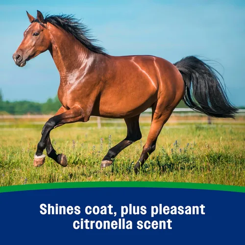 Vista 5 de Farnam Wipe II - Aerosol para moscas de caballo con citronela, ayuda de aseo y acondicionador de pelaje, 32 onzas líquidas, botella de un cuarto
