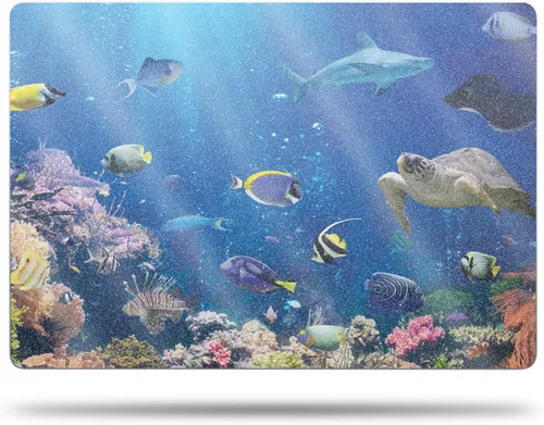 Vista 14 de MightySkins - Funda de fibra de carbono compatible con Apple MacBook Air de 15 pulgadas M2 (2023), kit de envoltura completa, resorte prismático