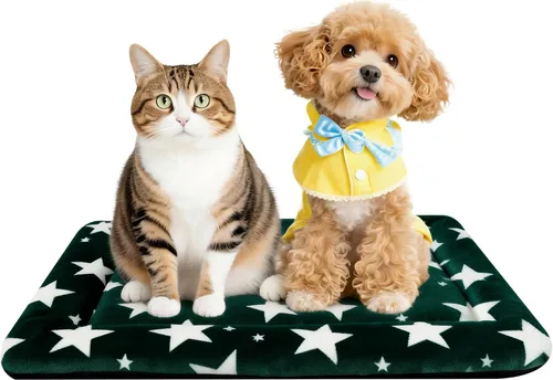 Vista 59 de Alfombrilla para Cama de Perro – Almohadilla de Perrera Suave y Cómoda para Jaula – Cama y Almohadilla Duradera para Perros y Gatos – Ideal