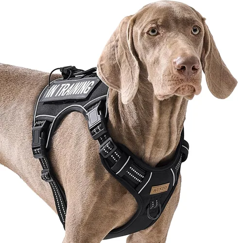 Vista 16 de Arnés para perro sin tirones para perros de tamaño pequeño, chaleco ajustable para caminar fácilmente, material Oxford transpirable, tiras