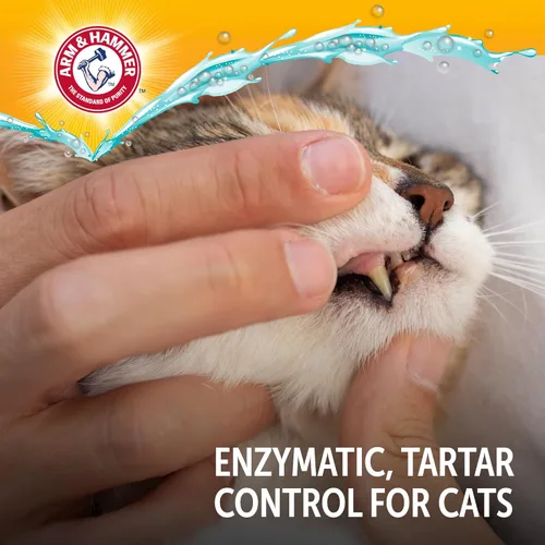 Vista 9 de Arm & Hammer Complete Care - Kit dental para perros, pasta de dientes enzimática para perros con sabor a atún, cepillo de dientes y cepillo de dedo