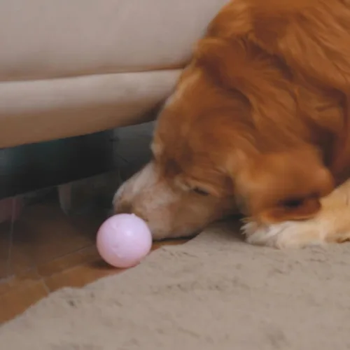 Vista 3 de BOWERBIRD Clear Under Couch Blockers - Stop Toys from Going Under Couch Sofa Bed and Other Furniture - Suit for Hard Surface Floors Only