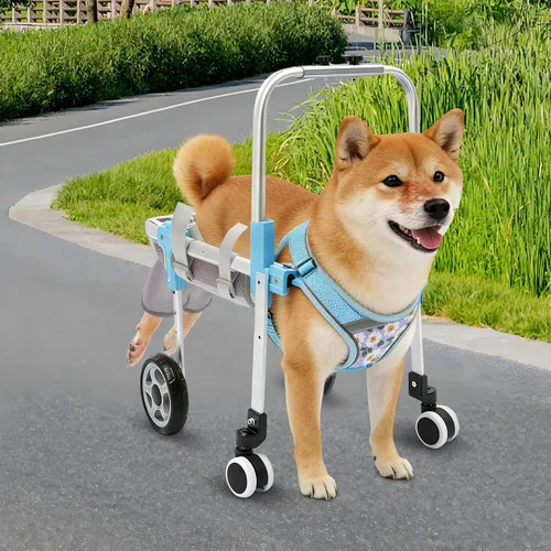 Dog Wheelchair for Back Legs, Adjustable Dog Cart with Shock-Absorbing Wheels, Lightweight Mobility Support for Injured, Disabled Dogs, 22-27.6 lbs