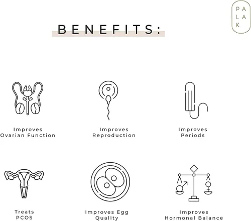 Vista 2 de QURA PCOS/PCOD con mio-inositol, D Chiro inositol, L arginina, L metil folato / 5.29 oz