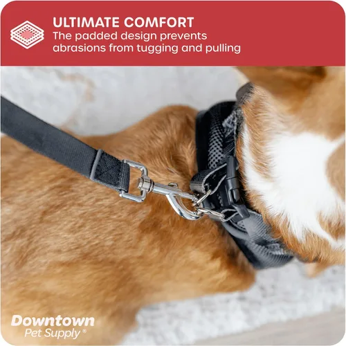 Vista 239 de Downtown Pet Supply Arnés para perro Step-in – Sin tirones, malla acolchada ajustable con ribete reflectante, correa de hebilla segura – Arnés