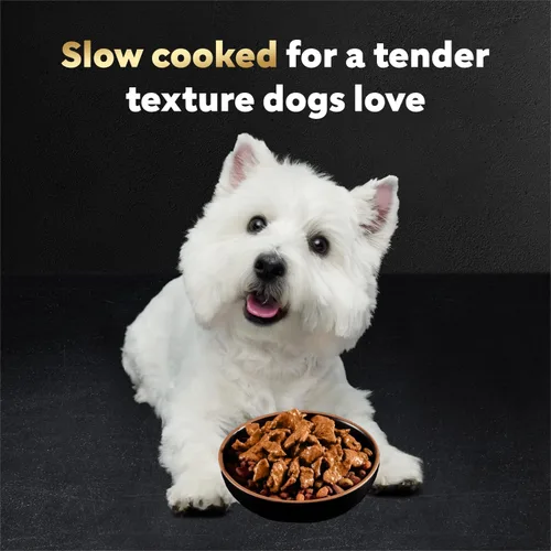 Vista 3 de Cesar Filets in Gravy - Alimento húmedo para perros, sabor a carne Angus, 1.76 onzas, mini-bolsa, 20