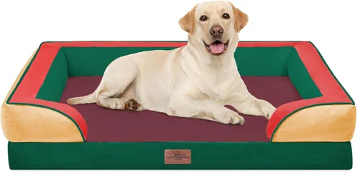 Vista 92 de Comfort Expression - Cama ortopédica para perros pequeños, 20 x 14 pulgadas, cama impermeable y de apoyo de espuma con cojines removibles, sofá
