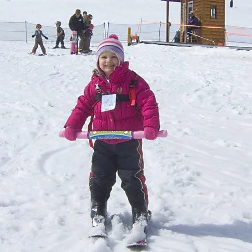 Vista 8 de Geospace Hand-Z-BAR - Entrenador de esquí alpino para niños para aprender/enseñar a principiantes