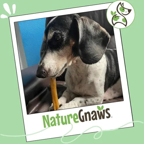 Vista 7 de Nature Gnaws Paquete variado para perros pequeños (12 unidades) – Bully Sticks, tendones de carne de res y giros para perros – Huesos naturales