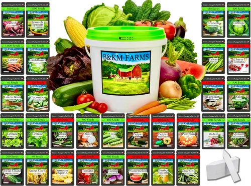 B&KM Farms Más de 20,000 semillas de supervivencia Kit de semillas 5+ años de suministro. 30 semillas de frutas y verduras autóctonas sin OMG para