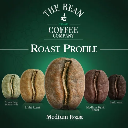 Vista 2 de The Bean Organic Coffee Company Mocha Java, tostado medio, café en grano entero, bolsas de 16 onzas (paquete de 2)