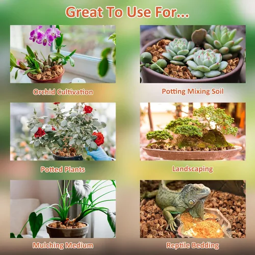 Vista 6 de Riare Paquete de 2 sustratos de chips de coco para plantas, 2.2 libras, ladrillo de cáscara de coco 100% orgánico con baja EC y pH equilibrado