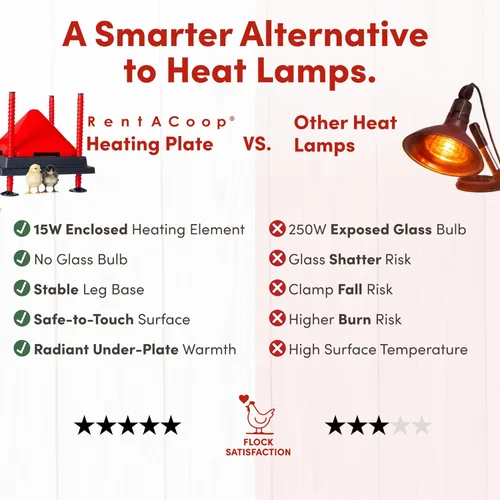 Vista 4 de RentACoop Juego de placa calefactora y cono anti-percha - Placa calefactora para criadora calienta hasta 15 pollitos - Calentador de pollitos con 25