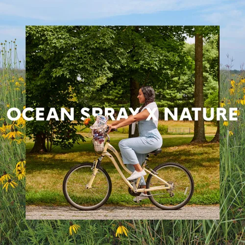 Vista 4 de Ocean Spray Craisins - Arándanos secos con infusión de jugo de granada bolsa resellable de 6 onzas