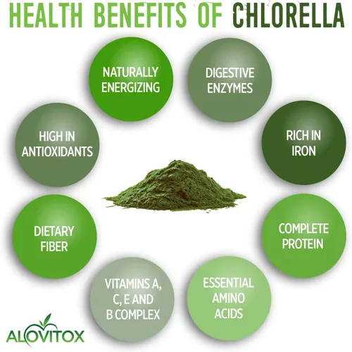 Vista 6 de Alovitox Chlorella orgánica en polvo de 8 onzas Superalimento denso en nutrientes con antioxidantes, proteínas, vitaminas C, E, complejo B