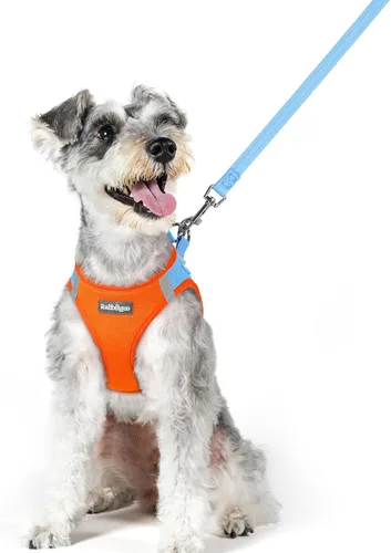 Vista 33 de rabbitgoo Juego de arnés para perro, tamaño pequeño y correa, chaleco ligero suave para cachorro, arnés de malla transpirable para mascotas, Negro