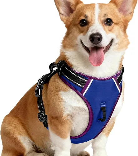 Vista 10 de Arnés para perro sin tirones, chaleco reflectante ajustable y acolchado para mascotas con asa de fácil control, fácil de llevar con nudo elegante