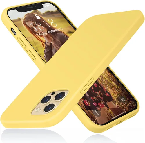 Vista 9 de DTTO Funda compatible con iPhone 12/12 Pro, a prueba de golpes, de silicona [serie Romance] [protección mejorada de cámara y pantalla] con cojín