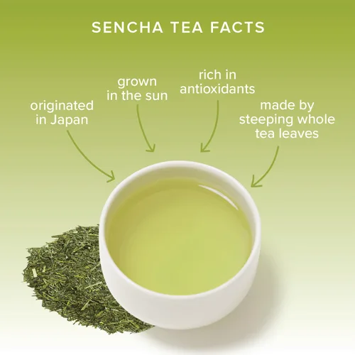 Vista 3 de Té Sencha verde de hojas sueltas (3.5 onzas), Sencha de té verde japonés orgánico (3.5 oz)
