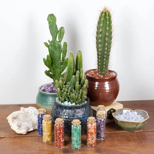 Vista 3 de Cherry Tree Collection 12 libra de piedras pulidas Cristales para decoración, curación, Reiki, chakras