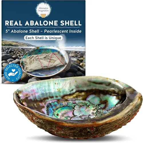 Alternative Imagination Concha de abulón seleccionada a mano, 5 pulgadas o más grande, interior pulido de nácar - Plato a prueba de llama para