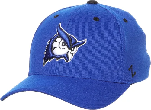Vista 12 de ZHATS - Sombrero ajustado elástico para hombre de la NCAA, color del