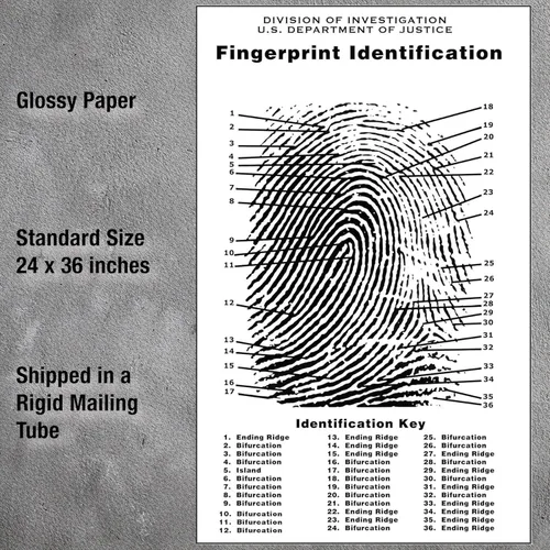Vista 3 de Crime Scene Tabla de huellas dactilares, tamaño del póster 24 x 36 pulgadas