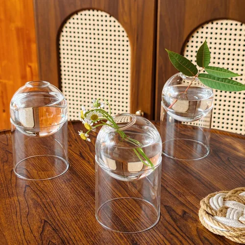 Paquete de 3 estaciones de propagación de plantas de vidrio, jarrón hidropónico, juego de jarrones de vidrio transparente | Florero de brotes y mini