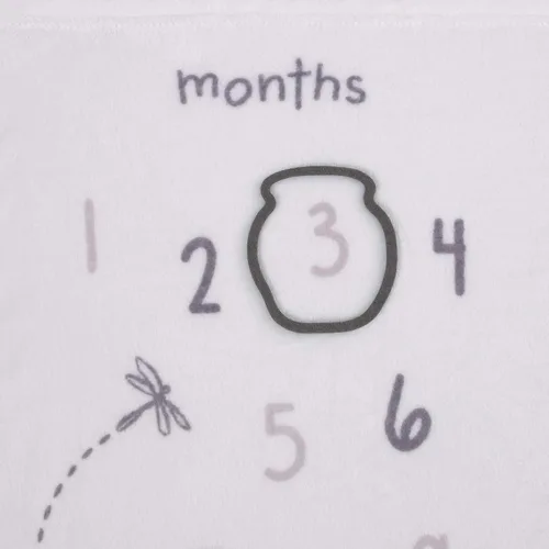 Vista 4 de Disney Classic Winnie The Pooh, manta de bebé súper suave color blanco, gris y lima, blanco, gris, lima, carbón