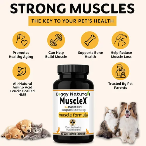 Vista 7 de Fórmula muscular canina para gatos y perros pequeños con 300 mg de CaHMB y vitamina D3 – Fórmula natural de construcción muscular – Ayuda a reducir