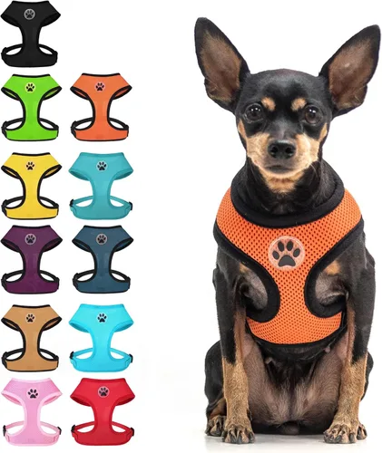 Vista 23 de BINGPET Arnés para perro sin tirones, arnés de chaleco tipo step-in de malla para todo clima para perros pequeños, arnés de malla transpirable