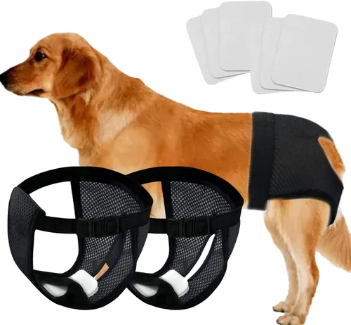Vista 8 de Every Pet - Pañales reutilizables con 3 pañales de repuesto, almohadillas sanitarias lavables de malla transpirable para perros, pañales