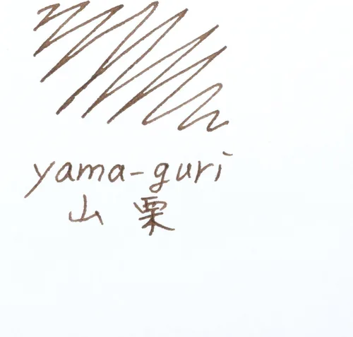 Vista 3 de Pilot Iroshizuku Tinta para pluma estilográfica – Botella de 50 ml – Yama-Guri Castaña Silvestre (Marrón Oscuro) (Importado de Japón)