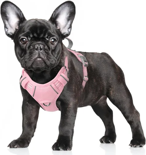 Vista 67 de BARKBAY Arnés para Perro Sin Tirones Talla Grande Arnés Reflectante para Perro con Clip Frontal y Asa de Control Fácil para Caminar Entrenar Correr