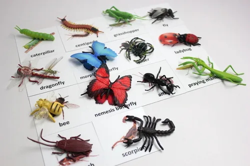 Vista 7 de Curious Minds Busy Bags Tarjetas y figuras de animales de insectos Montessori. Nomenclatura Trabajo científico