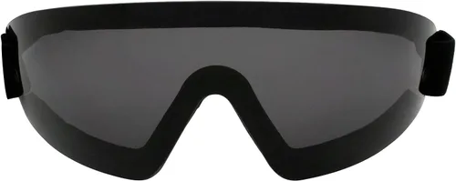 Vista 2 de Birdz Eyewear Serie Wing - Gafas de protección Lente ahumado