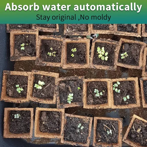 Vista 6 de Bandejas de inicio de plántulas de 200 celdas con agujeros de drenaje, 20 macetas de turba biodegradables, kit de inicio de plántulas, bandejas