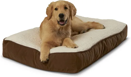 Vista 18 de South Pine Porch Buddy - Cama rectangular reversible de microfibra para perro con funda extraíble, lavable a máquina, cacao, extra pequeña