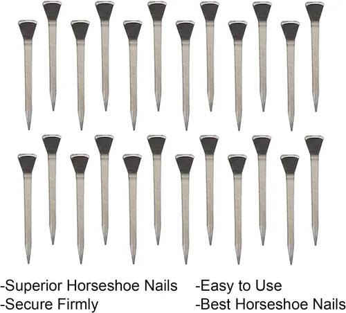 Vista 5 de UOIENRT 250 uñas de herradura E5 (2 pulgadas), uñas de herradura de acero inoxidable para asegurar firmemente