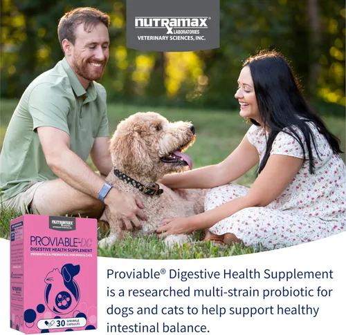 Vista 3 de Nutramax Proviable Probióticos para Perros y Gatos, Suplemento Diario para la Salud Digestiva con Múltiples Cepas de Bacterias, Probióticos