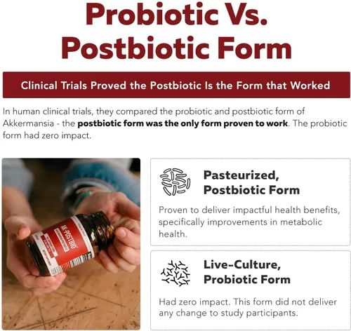 Vista 6 de AK-Postbio: Akkermansia Probiotic 30 mil millones de TFU - Fuerza máxima, dosis clínicamente validada y cepa patentada - Forma pasteurizada