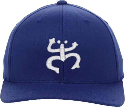 Vista 2 de Rana Taino Coqui - Símbolo de Puerto Rico, Sombreros Flexfit Negro