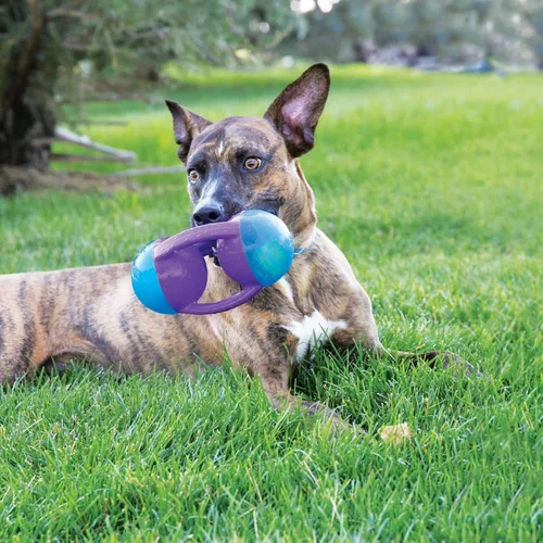 Vista 2 de Kong Jumbler Disc juguete para perro, tamaño mediano/grande, (Modelo: TMD2), para razas grandes